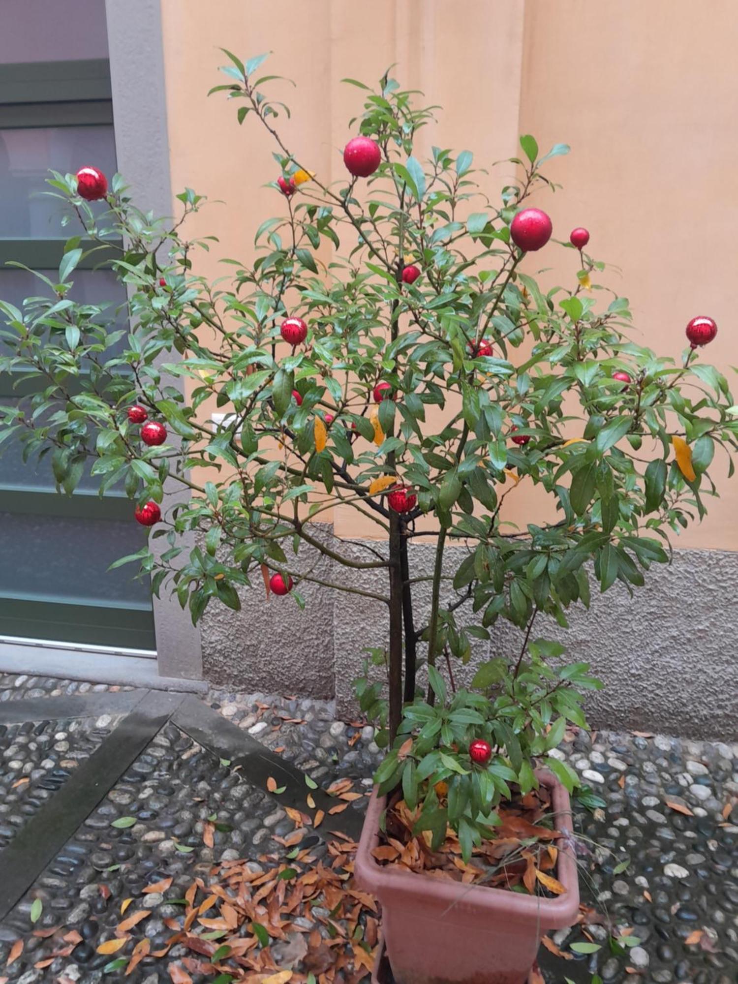 La Corte Dei Cappuccini Bergamo Kültér fotó