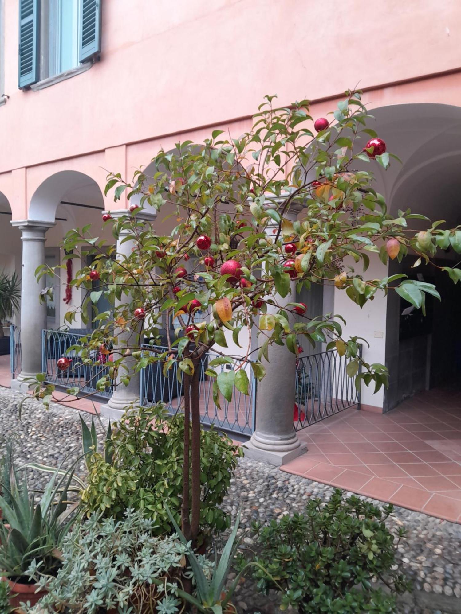 La Corte Dei Cappuccini Bergamo Kültér fotó